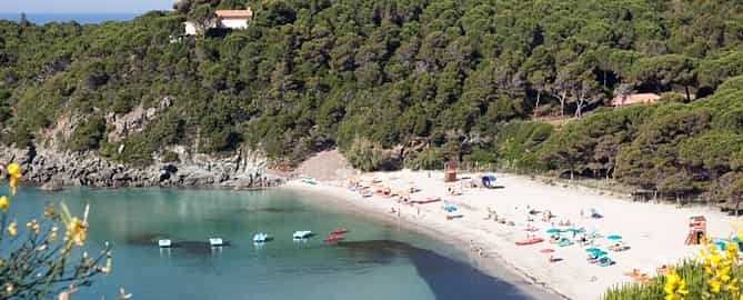 Spiaggia di Fetovaia Isola Elba